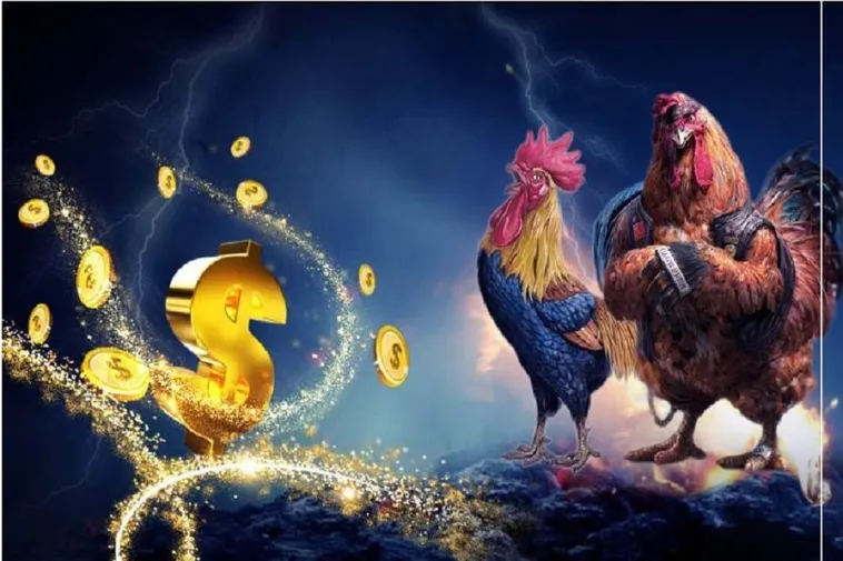 Đá Gà K9WIN Cung Cấp Trận Đấu Chân Thực Nhất Từ K9WIN